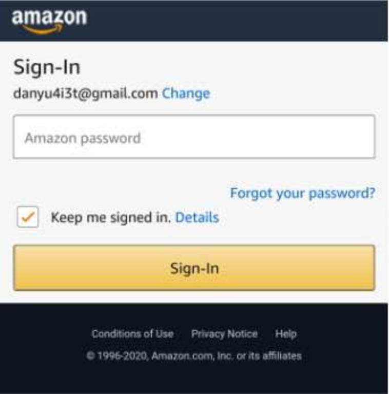 המייל המזויף