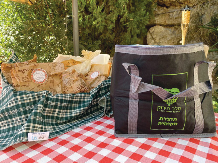 צידניות פיקניק