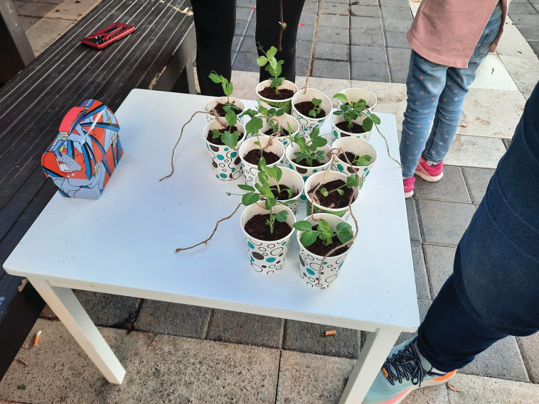 המיזם החברתי של עומר בן ה-6