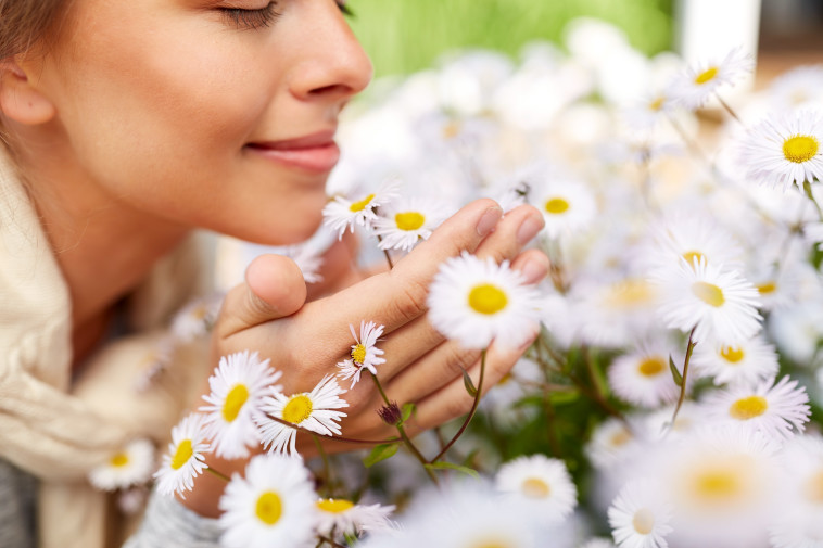 ריח, אילוסטרציה