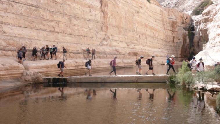 פעילות התיכון לחינוך סביבתי