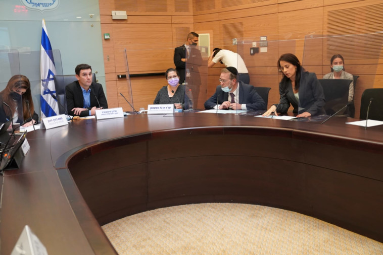 ועדת הכנסת בראשות ח''כ איתן גינזבורג