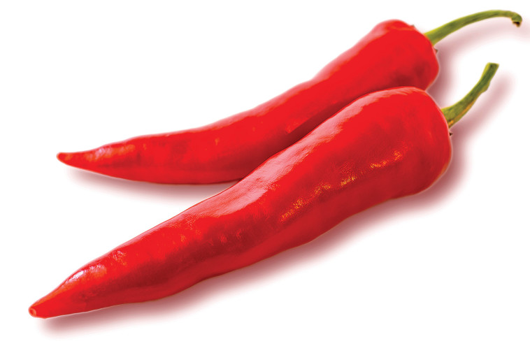 צ'ילי חריף