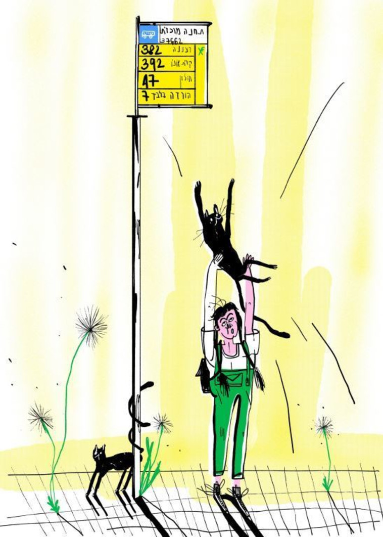 זקנות מחליקות. איור: דניאלה שוחמן