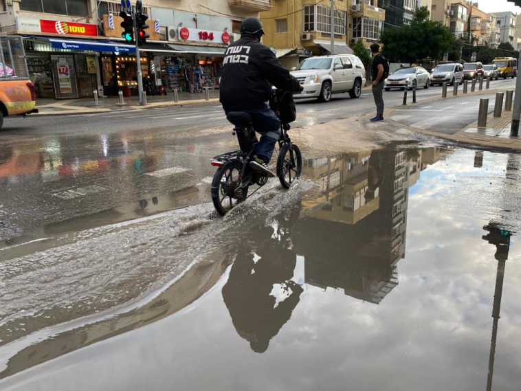 שלוליות ענק בתל אביב