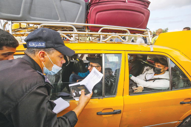 קורונה בעזה