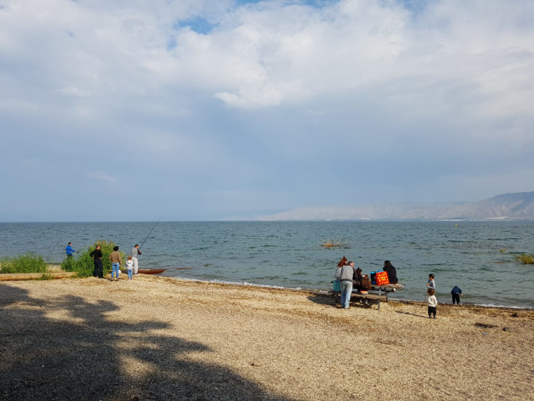 הכינרת חוף צינברי