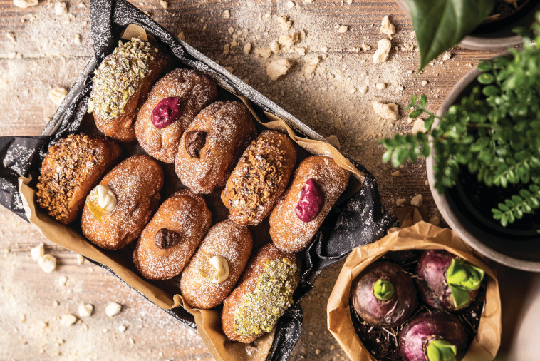 הסופגניות של הגלוטריה