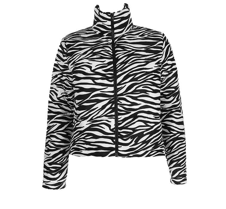 ג'קט זברה סטודיו שילת אליאב