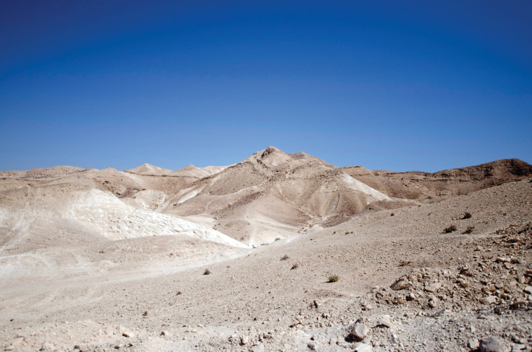 מדבר יהודה (צילום: הדר יהב)