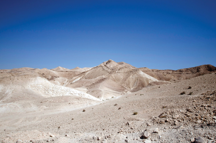 מדבר יהודה (צילום: הדר יהב)