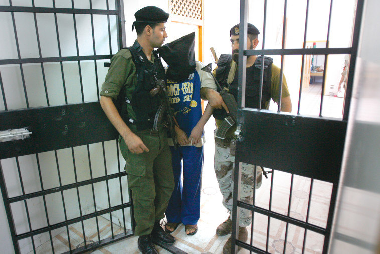 משתף פעולה פלסטינאי