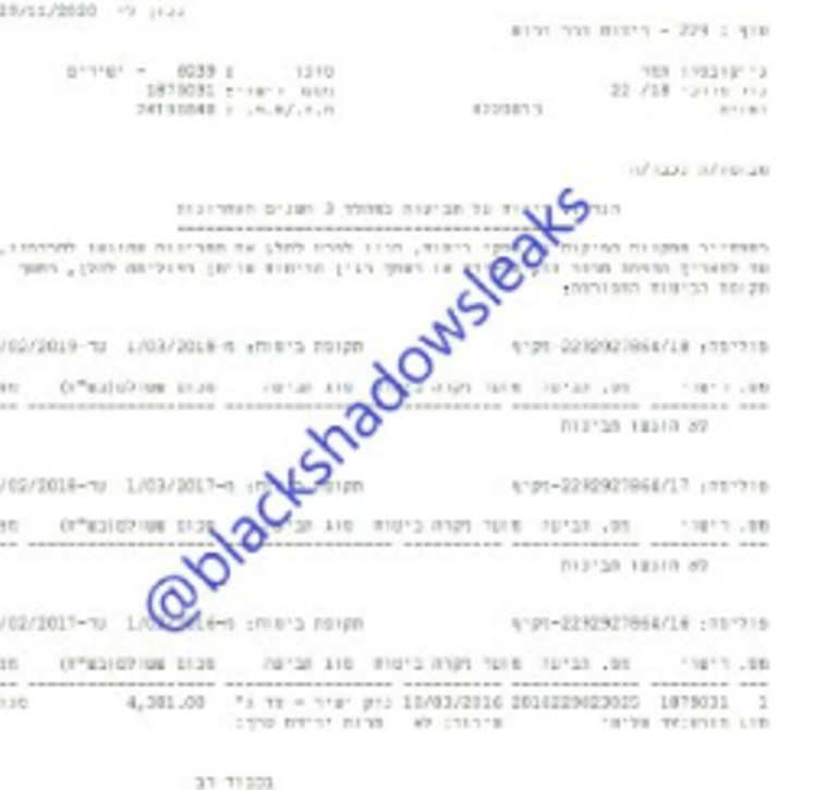 צילום מסמך של מבוטח ''שירביט'' שהודלף לרשת על ידי ההאקרים