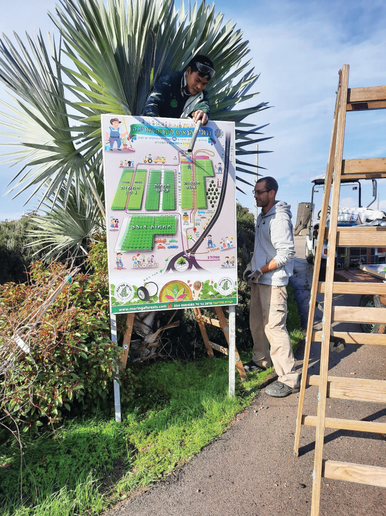 אלון בריימן (באפור), עבד כמורה ללשון