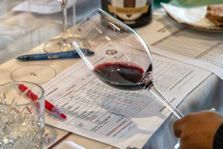 תחרות היין טרהוינו 2020 (צילום: אייל גוטמן)