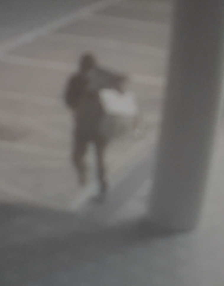 הפורץ והשלל שגנב מ''רנואר''