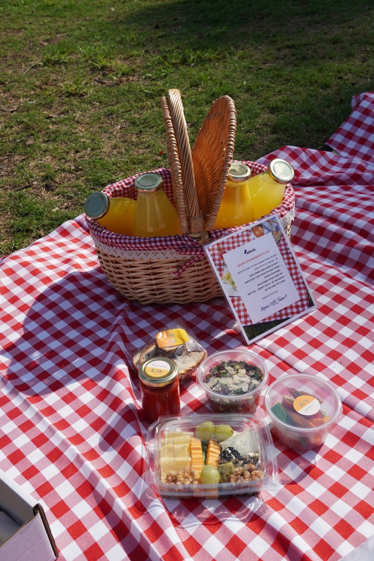 פיקניק לעובדי חברת ארמיס