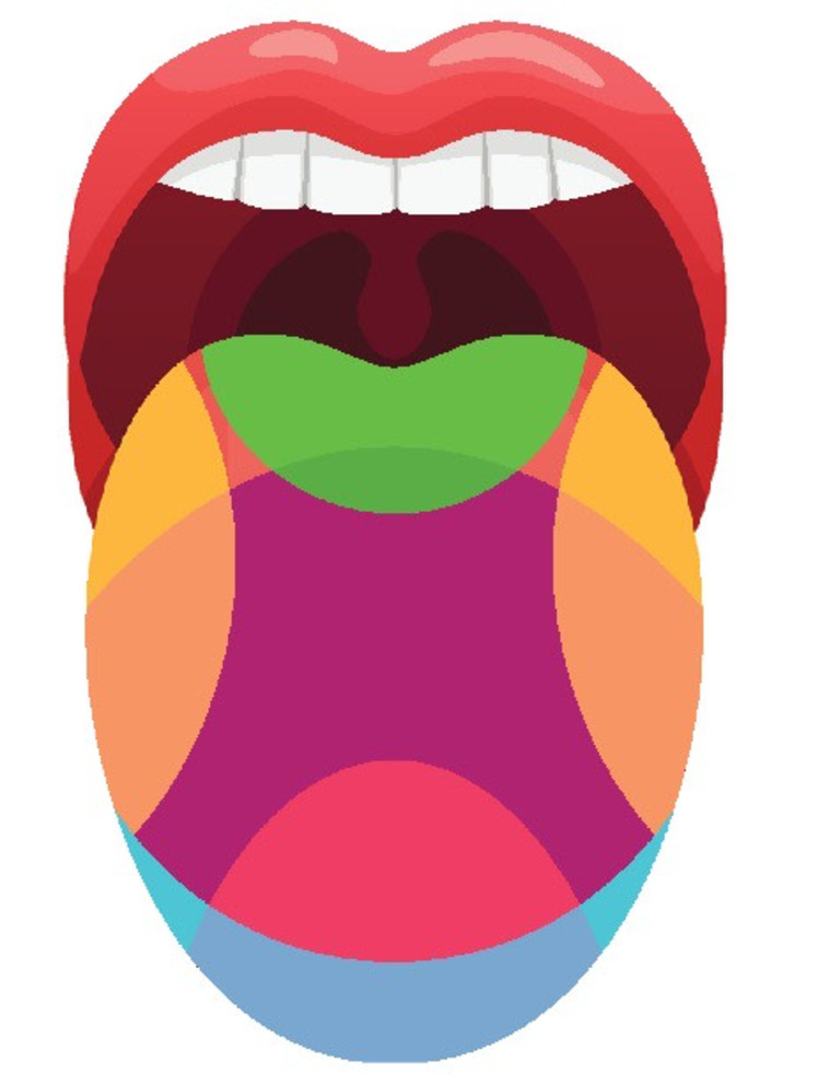 Sense of taste (illustration) (Photo: Ing Image)