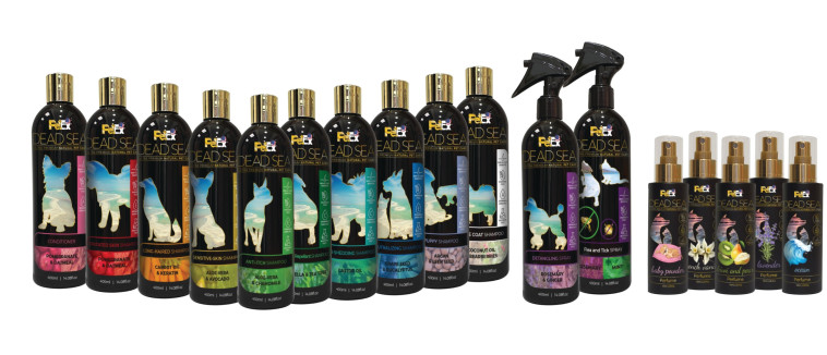 פטקס קולקציית ים המלח