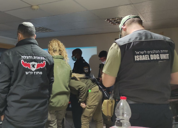 The search for the missing woman in Samaria (Photo: Dovrat Yachal)