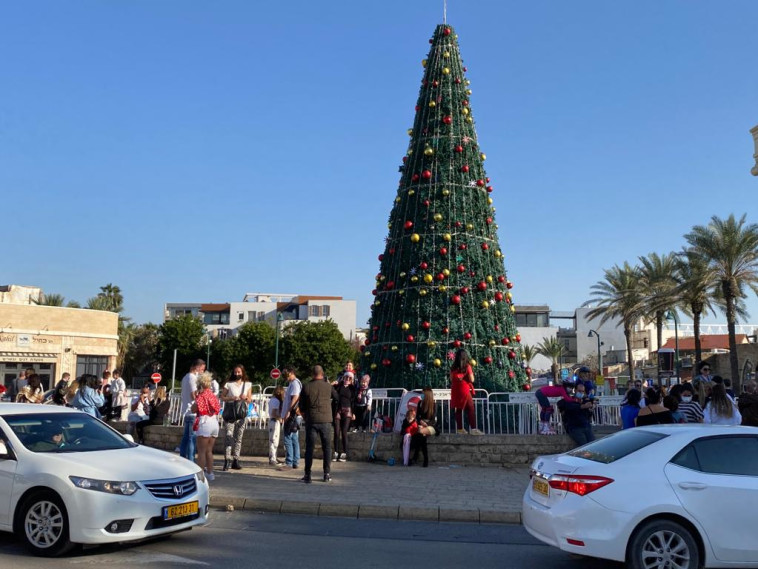 עץ חג המולד ביפו