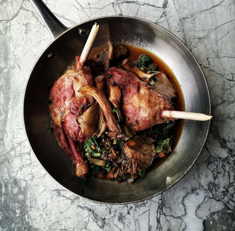 אדוני בהרצליה