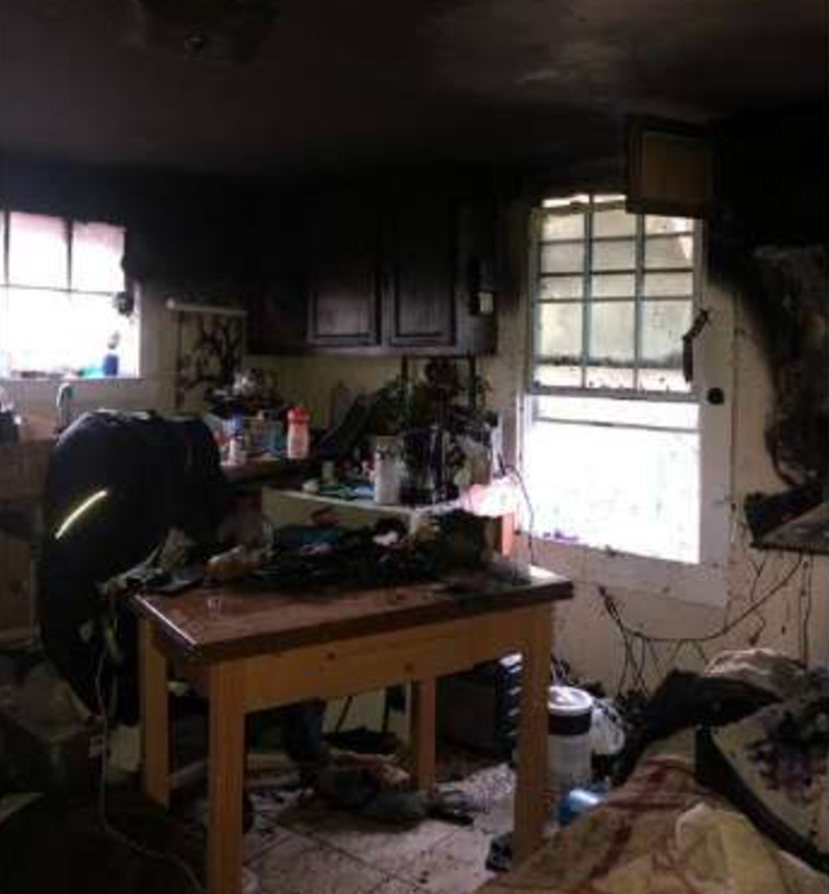 המקלט לבעלי חיים אחרי השריפה