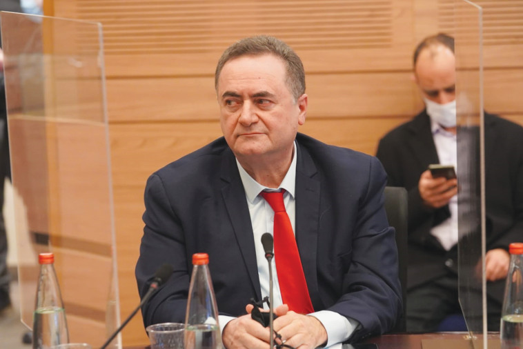Israel Katz in the Finance Committee (Photo: Danny Shem Tov, Knesset Spokeswoman)