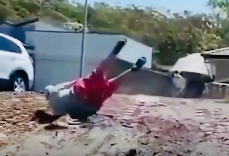 המעידה האכזרית אחרי התקיפה של הקנגורו