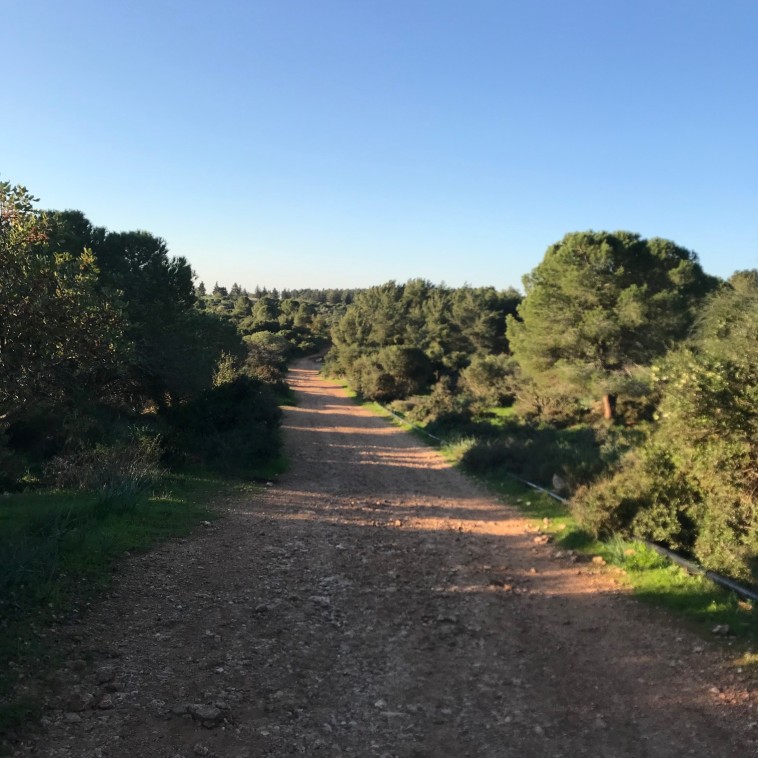 רמת הנדיב. ריצה בטבע 