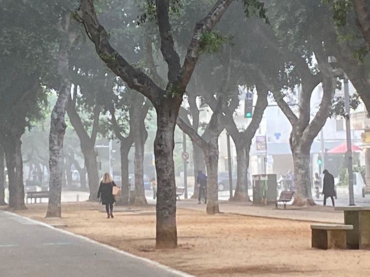 ערפל בתל אביב