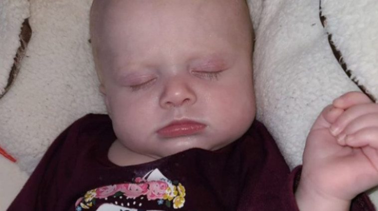 התינוקת שנמחצה למוות על ידי כלב 