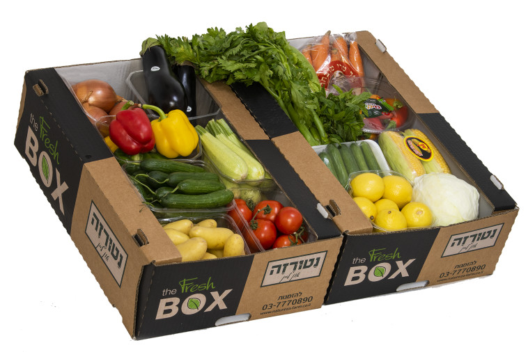 מארז של נטורזה