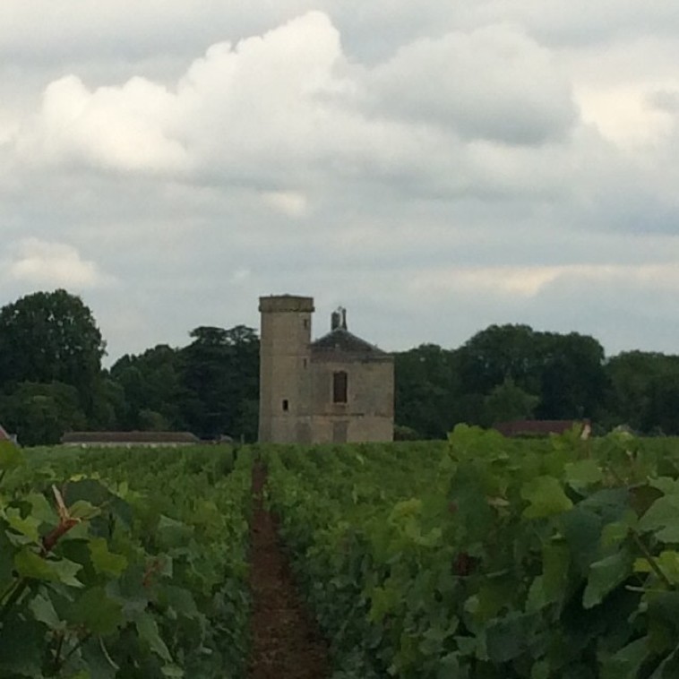 שאטו דה קלו ווזו'. צרפת 