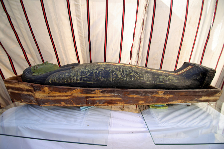 סקרופג שהתגלה במצרים מהמאה ה-11 לפנה''ס (צילום: רויטרס)