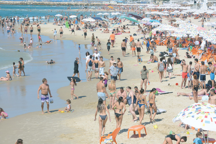 חופי הים ב-2019