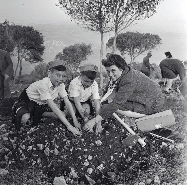 טקס נטיעת העץ ה-50 מיליון, 1961 (צילום: משה שויקי)