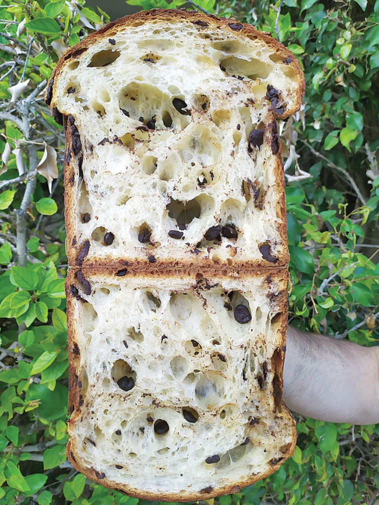 פנטונה עם שוקולד צ'יפס