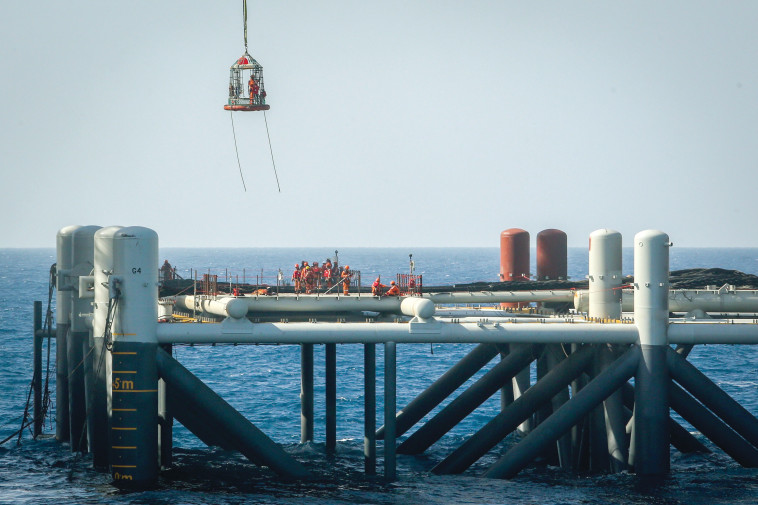 אסדת קידוח לוויתן