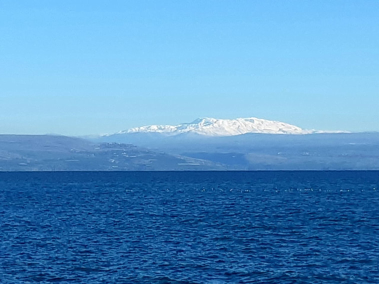Mount Hermon (Photo: Ziv Levy, Nature and Parks Authority)