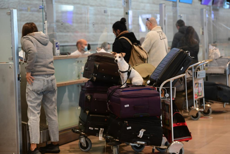 נתב''ג. הממשלה צפויה לאשר איסור טיסות למשך שבועיים