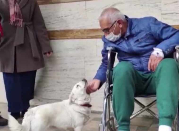 רגע האיחוד בין בונקוק לבעליה