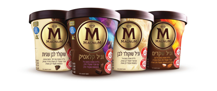 סדרת הפיינטים של מגנום