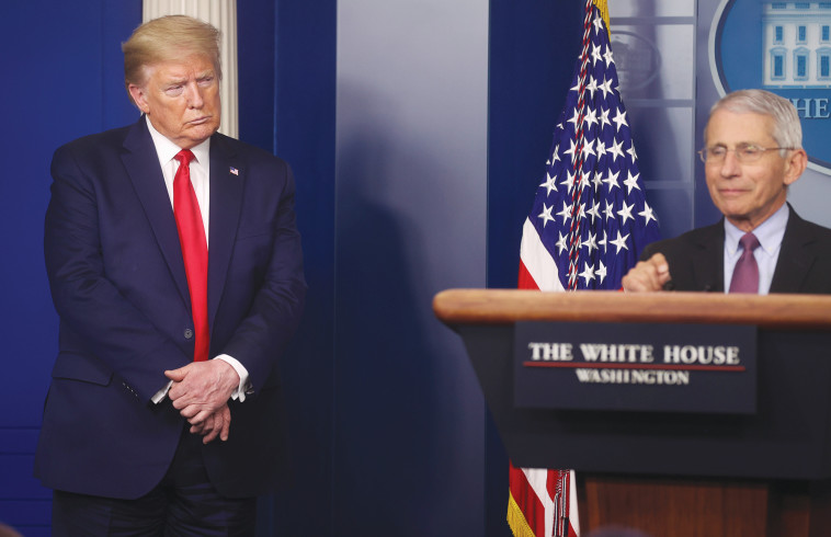 פאוצ'י וטראמפ 