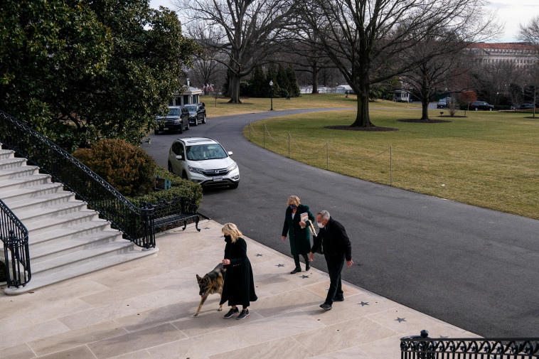 Dog Champ enters the White House (Photo: Reuters)