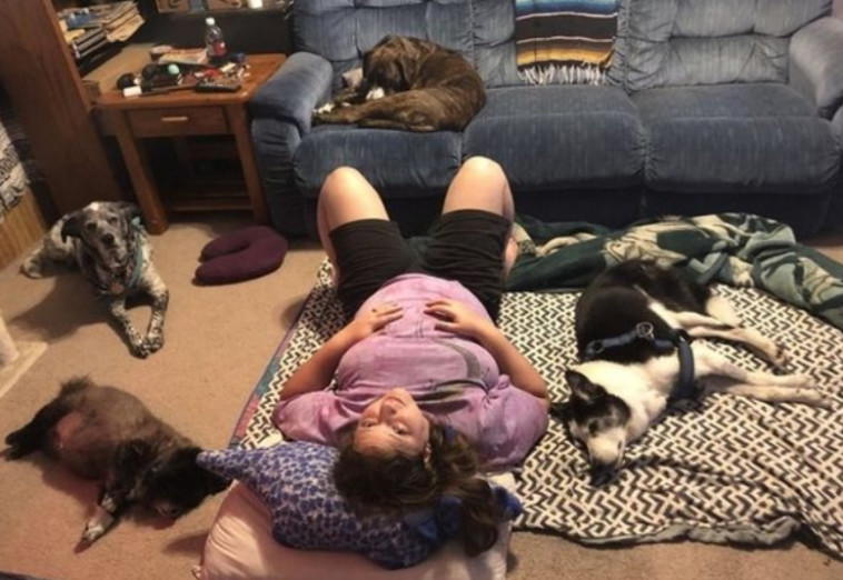 מליסה עמוס וארבעת כלביה