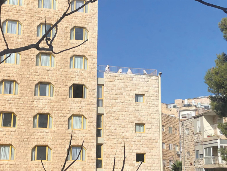 מלון דן פנורמה