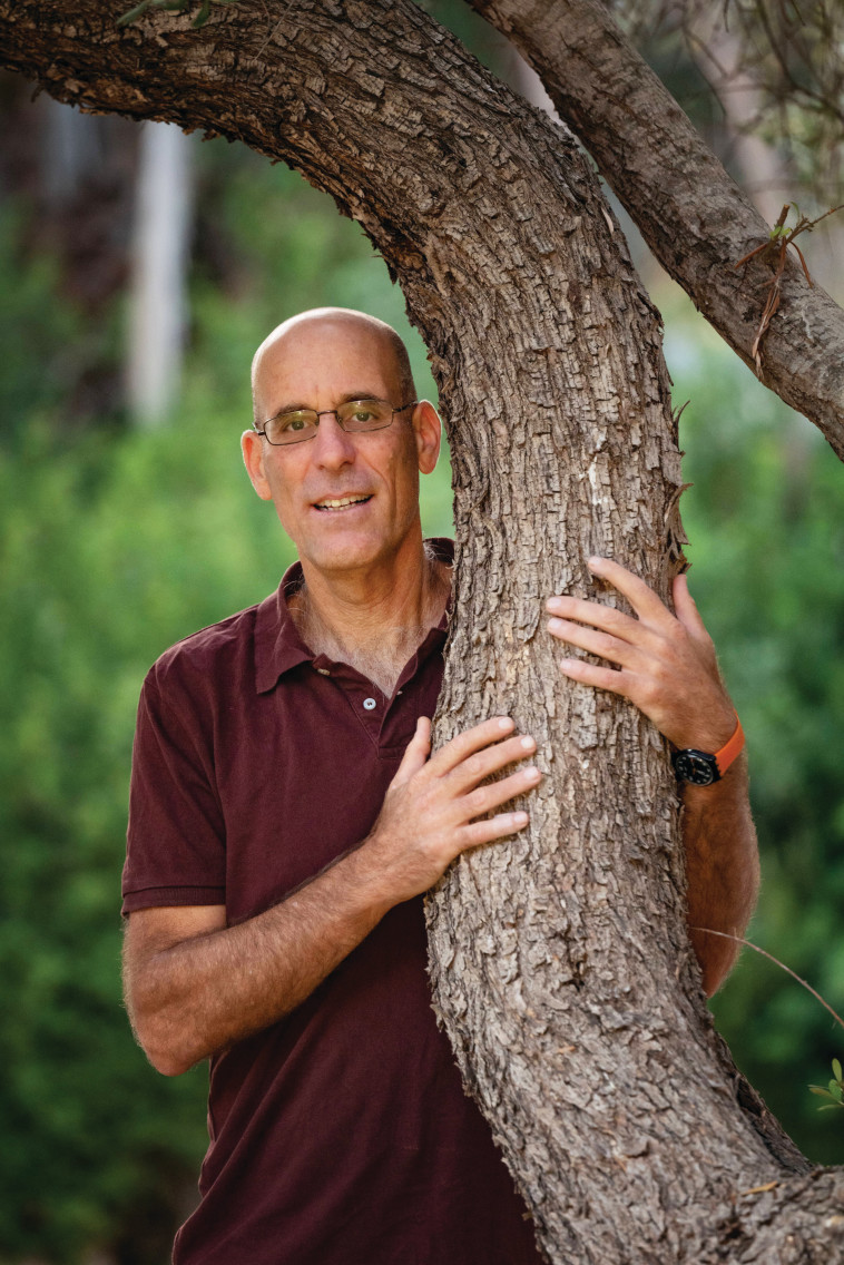 גלעד אוסטרובסקי