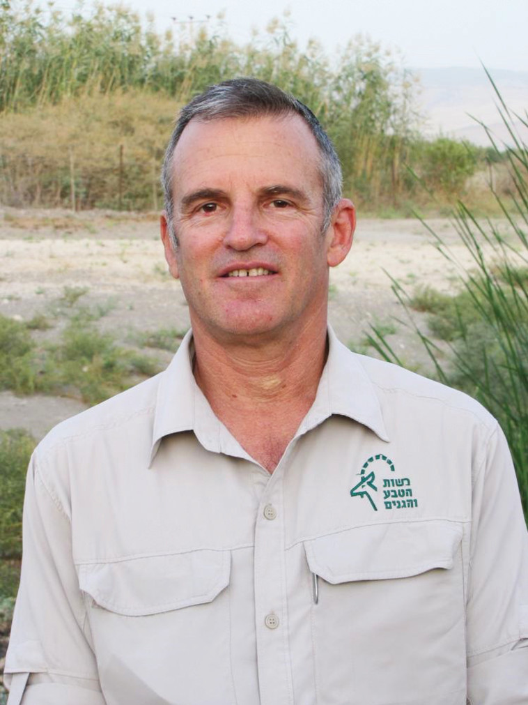 שאול גולדשטיין