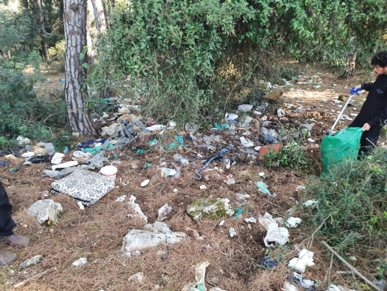 חניון אורן הסלע בכרמל לפני ניקיון